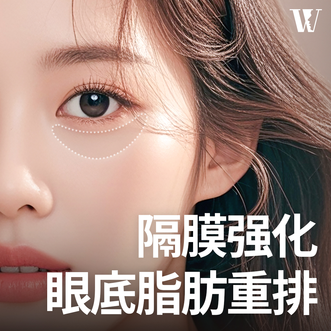 컨텐츠이미지